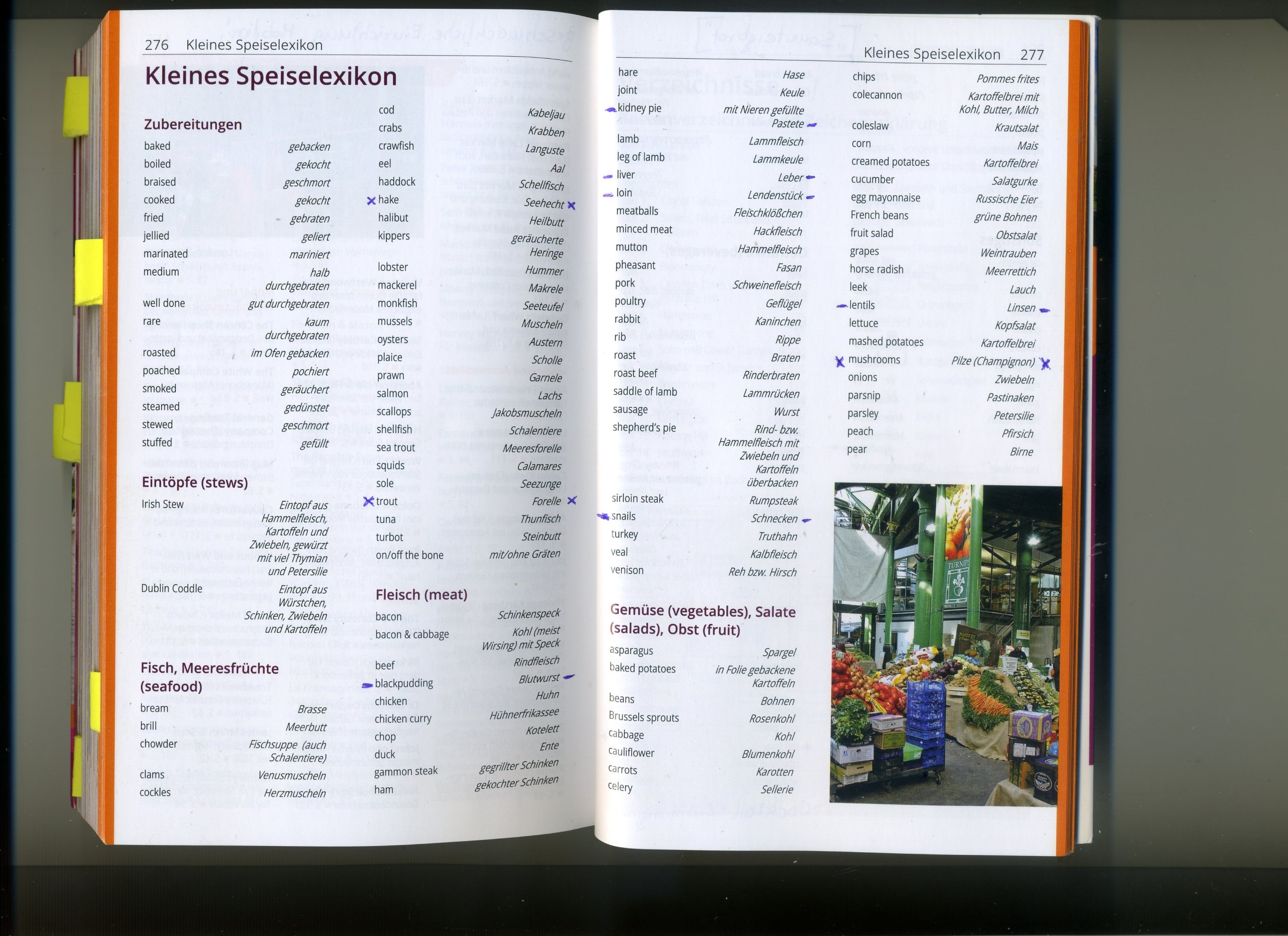 img - speisen-auswahl